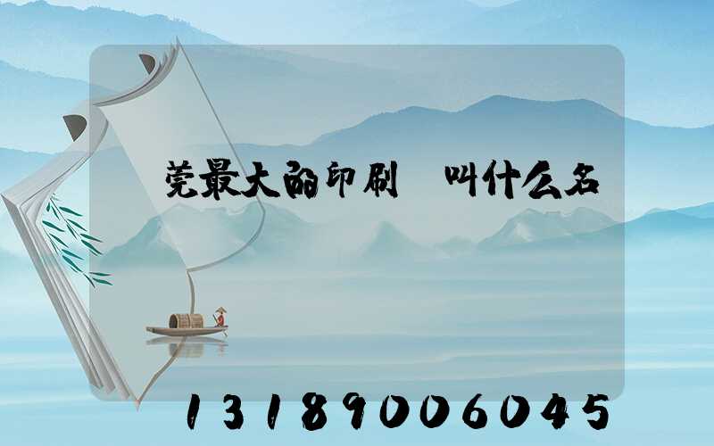 東莞最大的印刷廠叫什么名