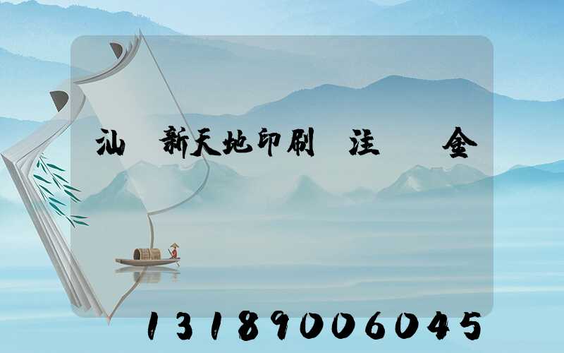 汕頭新天地印刷廠注冊資金