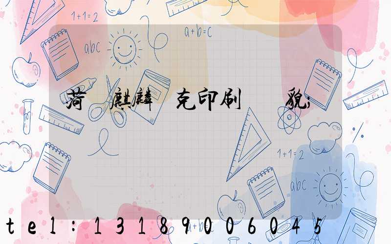 菏澤麒麟撲克印刷廠廠貌