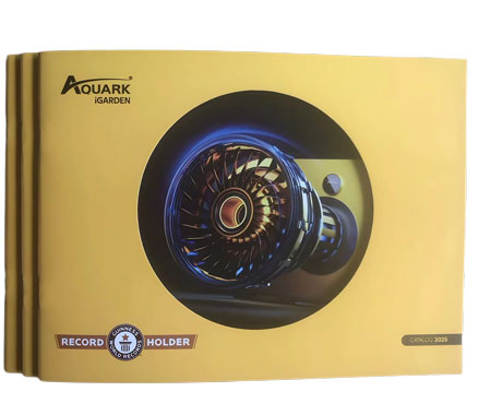 專業(yè)定制立體書制作廠家，為您鑄就卓越品質(zhì)